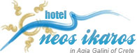 Hotel Neos Ikaros